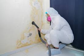 Mold Remediation for Vacation Homes in Girard, PA